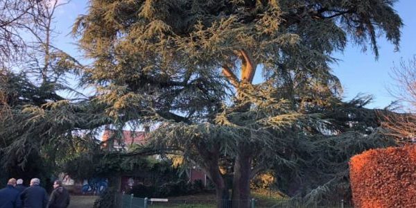 In gesprek met Angerenstein