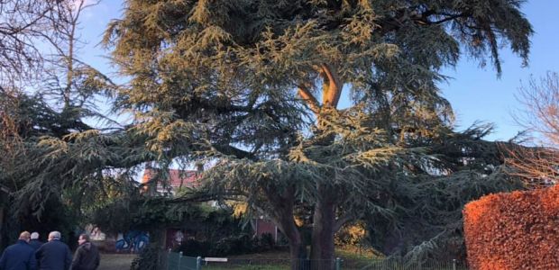 In gesprek met Angerenstein 